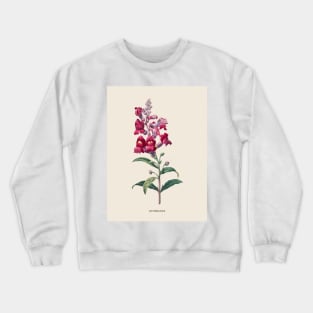 Snapdragon Flower Antique Botanical Illustration Crewneck Sweatshirt